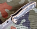 TigerSharkTN5.JPG