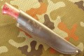 rysN690romb10.JPG