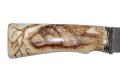 wilkdmst5.jpg