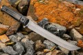 SenseiAUS8_1.jpg