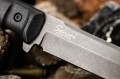 SenseiAUS8_2.jpg