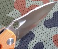 waranD2orange5.JPG