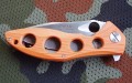 waranD2orange8.JPG