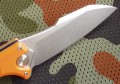 mangust2Sorange5.JPG