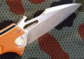 mangust2Sorange4.JPG