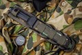 AlphaAus8_4.jpg