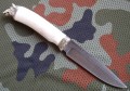 uniwersal_bone7.JPG