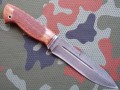 sycz8.JPG