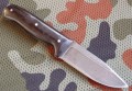 zubr7.JPG