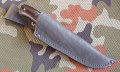 zubr8.JPG