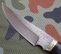 akulagrab3.JPG