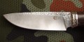 sokol95x18kuty3.JPG