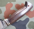 sokol95x18kuty5.JPG