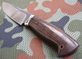 sokol95x18kuty6.JPG