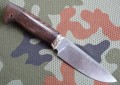 sokol95x18kuty7.JPG