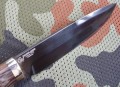 rysR12_3.JPG