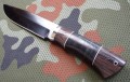 pumaR12_6.JPG