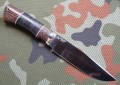 pumaR12_7.JPG