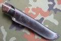 pumaR12_8.JPG