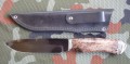 rysR12stab2_1.JPG