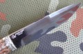 rysR12stab2_5.JPG