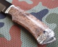 rysR12stab2_7.JPG