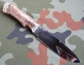 rysR12stab2_8.JPG