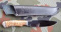 pumaR12stab1.JPG