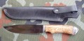 pumaR12stab2.JPG