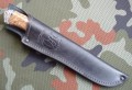 pumaR12stab9.JPG