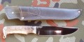 pumaR12stabgrey1.JPG