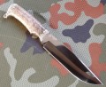 pumaR12stabgrey8.JPG