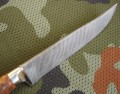 kord_dmst_stabbrown5.JPG