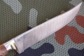 pczakstabbrown5.JPG