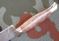 pczakstabbrown6.JPG