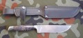pczaktugri_dmst_stabbrown1.JPG