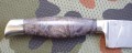 pczaktugri_dmst_stabbrown4.JPG