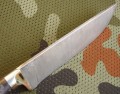 pczaktugri_dmst_stabbrown5.JPG