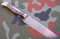 pczaktugri_dmst_stabbrown8.JPG