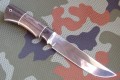 laska95x18_5.JPG
