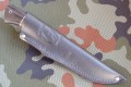 laska95x18_6.JPG