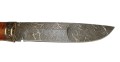 putnik_dmst_stab5.jpg