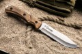 Safari_AUS-8_1.jpg