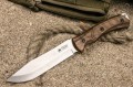 Safari_AUS-8_2.jpg