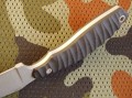 bielkaK110_4.JPG
