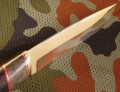 berkutN690_5.JPG