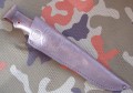 berkutN690_9.JPG