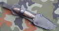 tm6.JPG