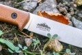 PioneerAUS-8_3.jpg