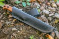 PioneerAUS-8_5.jpg